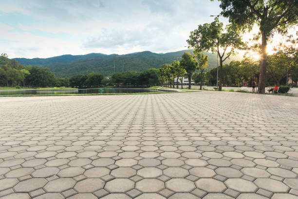 Best Residential Driveway Paver Services  in Salem, IL
